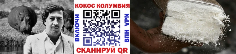 Купить закладки  Елабуга  Cocaine Fish Scale 