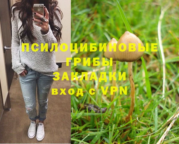 прущие крисы Киреевск
