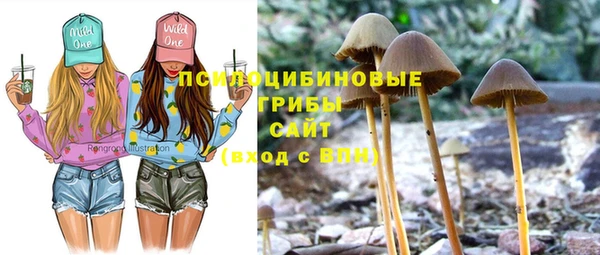 прущие крисы Киреевск