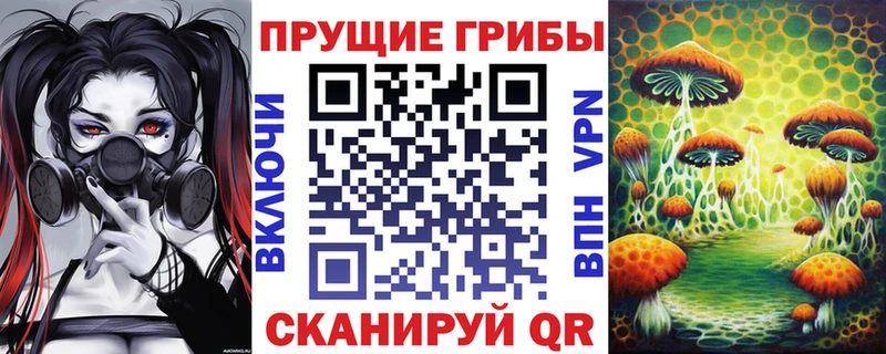 Купить закладки  Елабуга  Псилоцибиновые грибы мицелий 