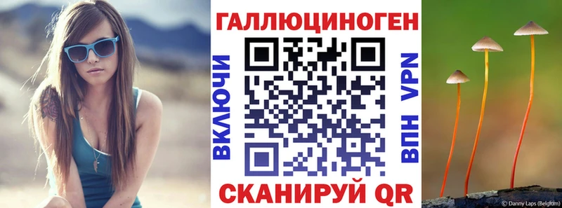 Псилоцибиновые грибы мицелий Елабуга